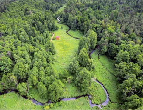 Kalendarz 13 planszowy A3 Lasy polskie LUCRUM RW06
