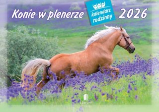 Kalendarz 13 planszowy A4 Konie w plenerze LUCRUM WL10