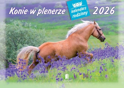 Kalendarz 13 planszowy A4 Konie w plenerze LUCRUM WL10