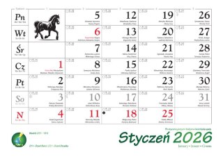 Kalendarz 13 planszowy A4 Konie w plenerze LUCRUM WL10