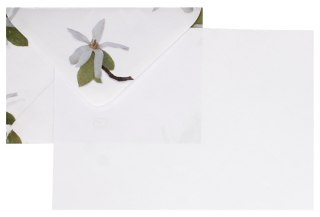 Papeteria A5 4koperty/6kartek Magnolia A 5 LOGOS LOG MAGNOL