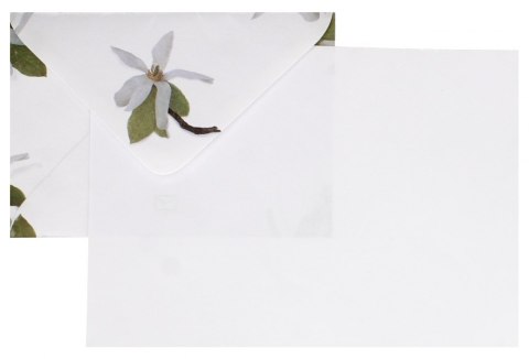 Papeteria A5 4koperty/6kartek Magnolia A 5 LOGOS LOG MAGNOL