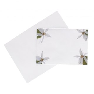 Papeteria A5 4koperty/6kartek Magnolia A 5 LOGOS LOG MAGNOL