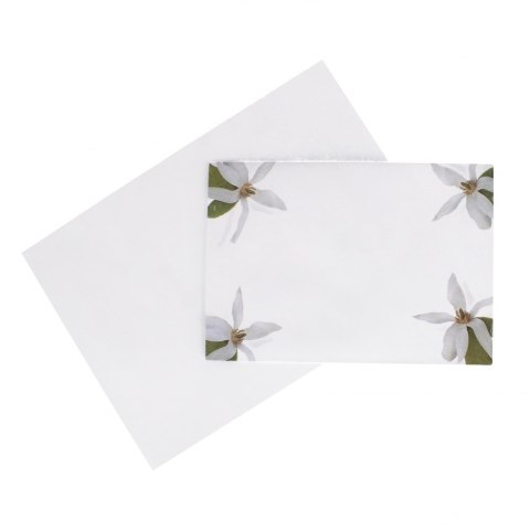 Papeteria A5 4koperty/6kartek Magnolia A 5 LOGOS LOG MAGNOL