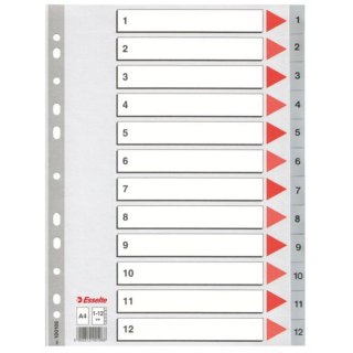 Przekładka A4 PP 1-12 numeryczna ESSELTE 100106