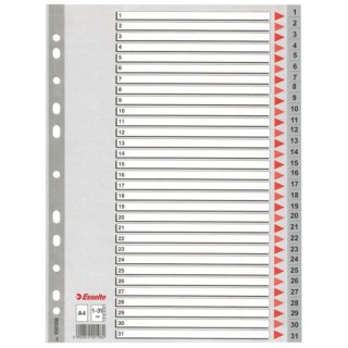 Przekładka A4 PP 1-31 numeryczna ESSELTE 100108