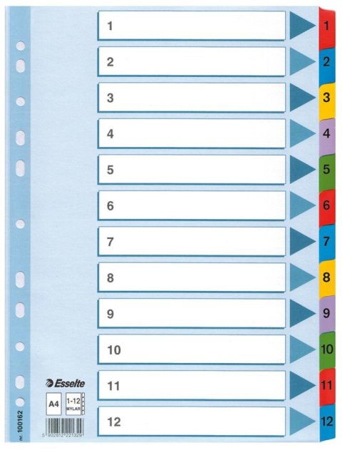 Przekładki kartonowe Mylar A4 , biały 1-12 ESSELTE 100162
