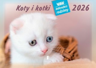 Kalendarz 13 planszowy A4 Koty i kotki LUCRUM WL09