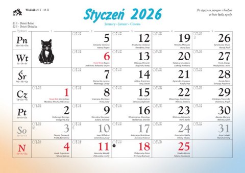 Kalendarz 13 planszowy A4 Koty i kotki LUCRUM WL09