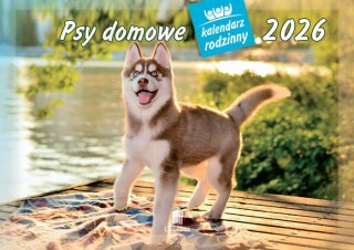 Kalendarz 13 planszowy A4 Psy domowe LUCRUM WL08