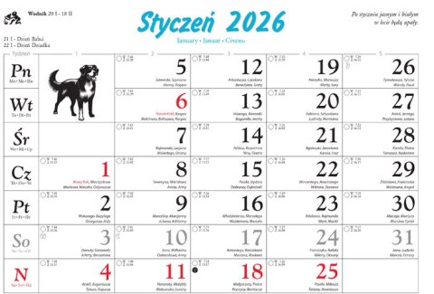 Kalendarz 13 planszowy A4 Psy domowe LUCRUM WL08
