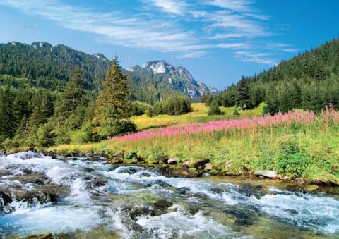 Kalendarz 13 planszowy A4 Tatry i Podhale LUCRUM WL04