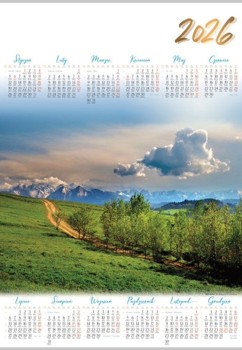 Kalendarz planszowy A1 Panorama pud.A 10 LUCRUM PL03-A1