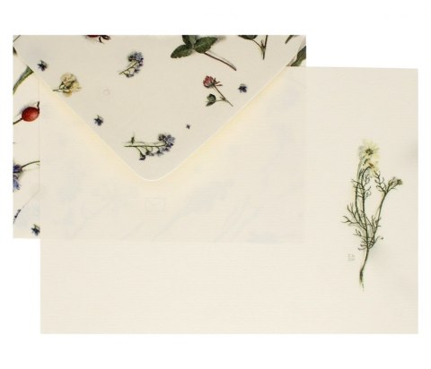 Papeteria A5 3koperty/3kartki Zielnik LOGOS 001385