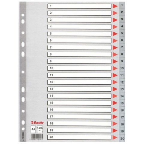 Przekładka A4 PP 1-20 numeryczna, ESSELTE 100107