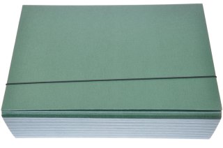 Teczka z gumką A4 9 cm skrzydłowa zielona DELFIN 953