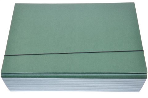 Teczka z gumką A4 9 cm skrzydłowa zielona DELFIN 953