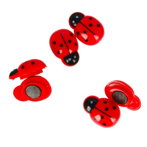 Magnes Biedronka 25mm op6szt. STARPAK 438886