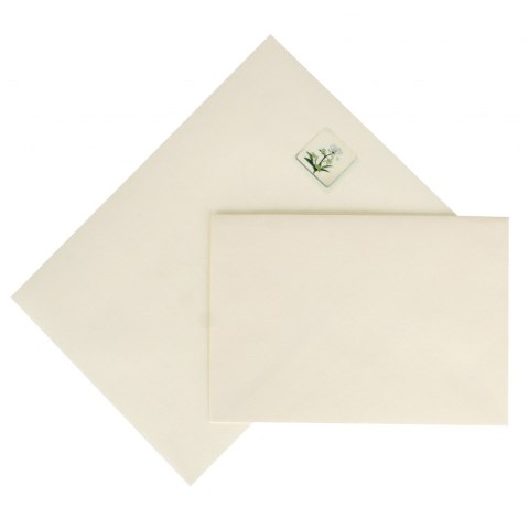 Papeteria A5 3koperty/3kartki Ekskluzywna LOGOS 001965