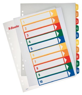 Przekładki z możliwością nadrukowania tekstu, PP, A4 Maxi ESSELTE 100213