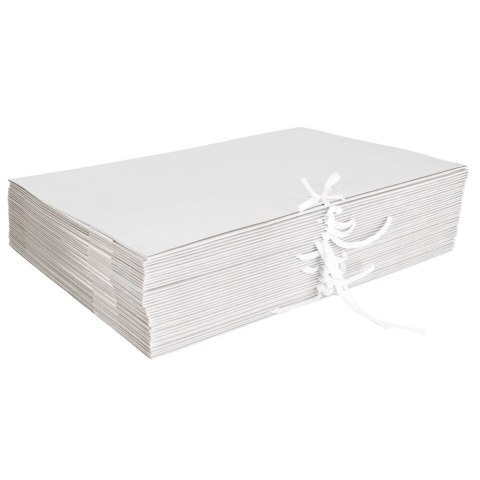 Teczka wiązana papierowa A4 biała 300g A 25 STARPAK 360993