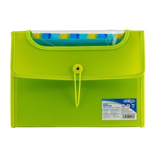 Teczka z gumką PP A4/25MM/12 przegródek zielona Strigo PILOT SF037