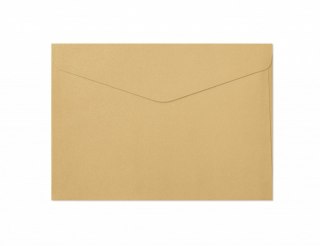 Koperta C5 NK Złota Perła OP10SZT GALERIA PAPIERU 280688 GAL