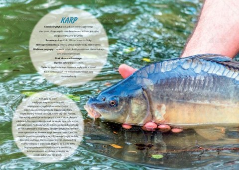 Kalendarz 13 planszowy A4 Wędkarski LUCRUM WL14