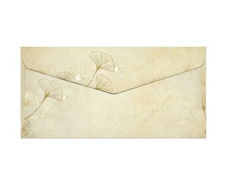 Koperta DK NK Ginko opszt GALERIA PAPIERU 281101 ARG