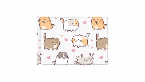 Okładka na dokumenty ucznia małe z nadrukiem kittens BIURFOL OD-31-35