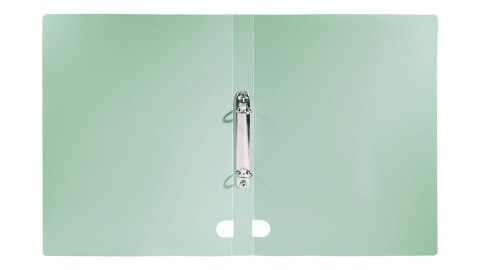 Segregator A4 PP 2R/3 cm morandi zieleń BIURFOL SEM-A4-03
