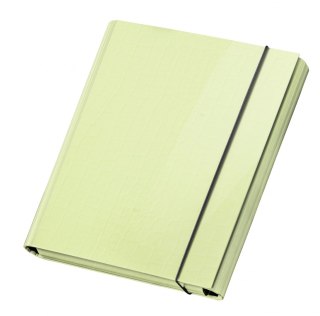 TECZKA Z GUMKA A4 SKRZYD PASTELOVE LIMON VPE1/12