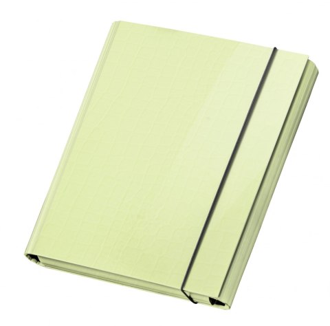 TECZKA Z GUMKA A4 SKRZYD PASTELOVE LIMON VPE1/12