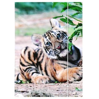 Teczka z gumką A4 Wild Animal2 STARPAK 559730