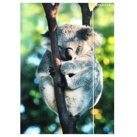 Teczka z gumką A4 Wild Animal2 STARPAK 559730