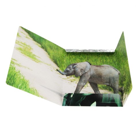 Teczka z gumką A4 Wild Animal2 STARPAK 559730