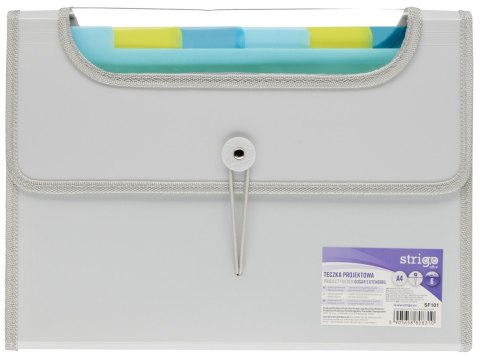 Teczka z gumką PP A4/25mm/6przegródek Pop STRIGO SF101