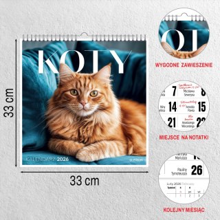 KALENDARZ 6 PLANSZ 33X33 KOTY OP
