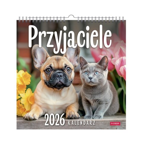 KALENDARZ 6 PLANSZ 33X33 PRZYJACIELE OP