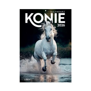 KALENDARZ 6 PLANSZ A4 KONIE OP