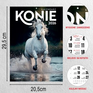 KALENDARZ 6 PLANSZ A4 KONIE OP