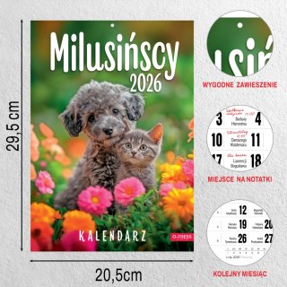 KALENDARZ 6 PLANSZ A4 MILUSINSCY OP