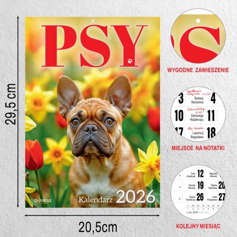 KALENDARZ 6 PLANSZ A4 PSY OP