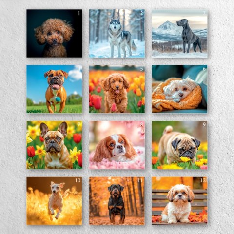 KALENDARZ 6 PLANSZ A4 PSY OP