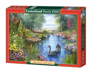 Puzzle 1500 elementów Black Swans, Andres Orpinas CASTORLAND C-151042
