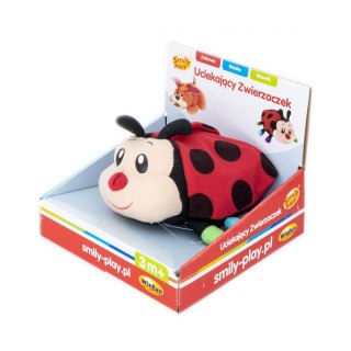Zabawka materiałowa Uciekająca Biedronka SMILY PLAY 0210