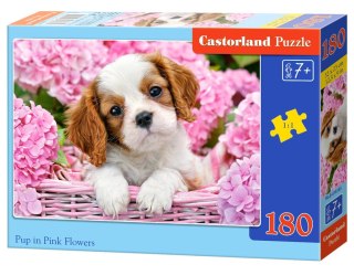 Puzzle 180 elementów Pup in Pink Flowers CASTORLAND B-018185