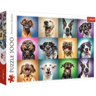 Puzzle 1000 elementów Zabawne psie portrety TREFL 10462 TR
