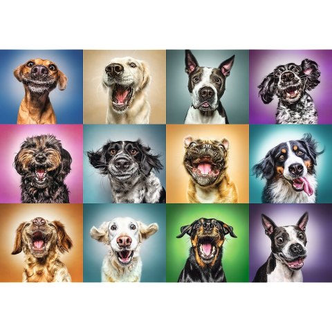 Puzzle 1000 elementów Zabawne psie portrety TREFL 10462 TR