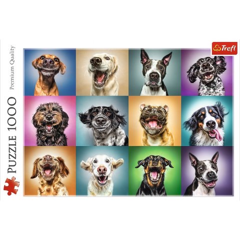 Puzzle 1000 elementów Zabawne psie portrety TREFL 10462 TR